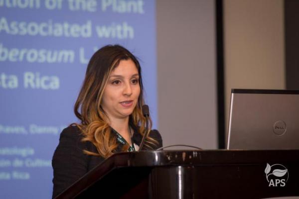 The American Phytopathology Society (APS) División Caribe
